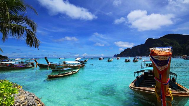 #原创新人#如何自行办理泰国签证(上海送签)