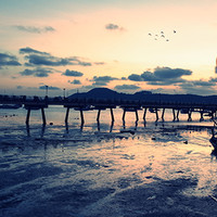 普吉岛游记 篇二：#剁主计划-大连#查龙码头看日出+大量妹子“约拍”图片