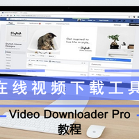 男人的生产力工具 篇二十四：在线视频下载工具 Video Downloader Pro教程