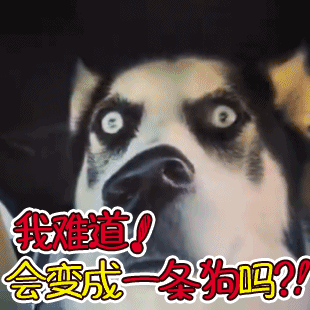 社区首页 文化娱乐 文章详情 小小值这么多年似乎就没有一年真正地过