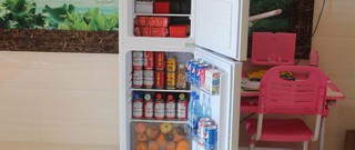 家电评测 篇六：给家里添置的年货-699的云米双门冰箱值得买吗？