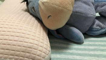 拯救我的颈椎~从网上买过不止八个枕头的我的 ---菠萝斑马 快眠枕测评
