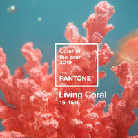 色彩权威机构Pantone发布2019年度代表色， “珊瑚橘”成装饰行业新宠