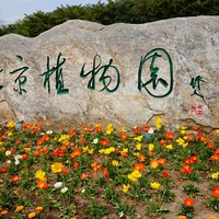 生活小记 篇七：北京植物园和中科院北京植物所赏花记