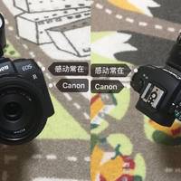我买的摄影器材 篇七：小巧！轻便！便宜！Canon EOS RP开箱