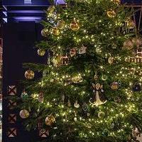 西班牙*级酒店“世界上最昂贵圣诞树”惹争议 造价高达1.08亿元