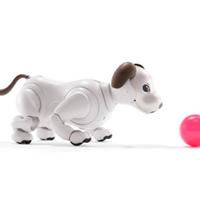 索尼AIBO機械狗迎重大更新，可喂食可訓練感覺更像真狗了