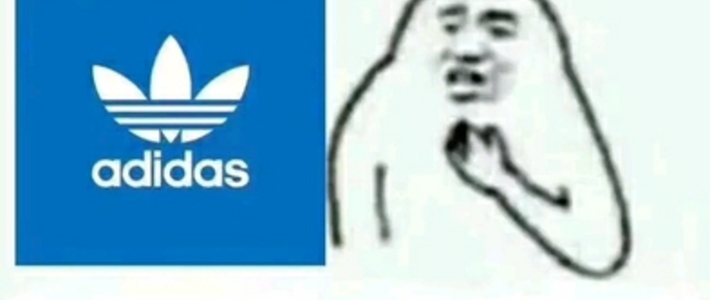 蜈蚣精的自我修养---我永远爱adidas!