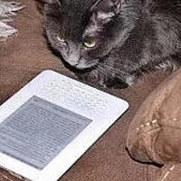 关于Kindle的生词本，你确定你都完全了解吗？