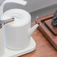 生活分享 篇三十九：米家生态出品，一个居家热水壶也要很好看，三界茶具二合一电水壶
