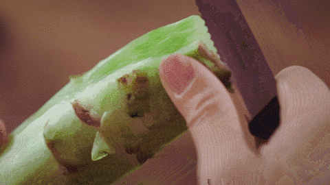 春天养生,吃肉不如吃它!不仅降三高,润肠养肝,还能抗过敏