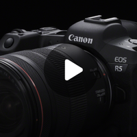 能拍8K视频的无反，佳能最强无反相机 EOS R5真机上手视频