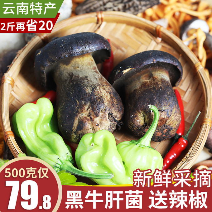 牛肝菌新鲜黑牛肝菌美味鲜牛干茵野生云南特产菌菇蘑菇见手青500g 79.