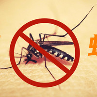 DIY 篇七：夏天蚊虫怎么防？十几元自制最有效避蚊胺喷雾，跟蚊虫说拜拜！