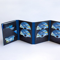 《微軟模擬飛行》的實體版包含10張雙層DVD光盤