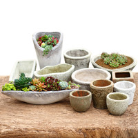 minipot多肉植物花盆粗陶红陶做旧复古桌面绿植组合盆栽陶瓷