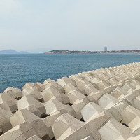 好客山东真不吹，青岛清明轻装游，南蛮恰酒吃蛤蜊（装地道一定要读作ga la）