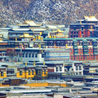 旅游指北针 篇六十四:别总挤在大西北!隔壁甘南秘境也值得去!人少好玩!门票0元!