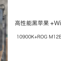 黑苹果 篇一：打造一台高性能黑苹果+Win10主机 10900K+ROG M12E+ROG 5700XT 装机