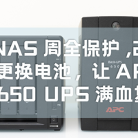 NAS折腾笔记 篇三：给NAS周全保护，2分钟更换电池，让APC BX650 UPS满血复活