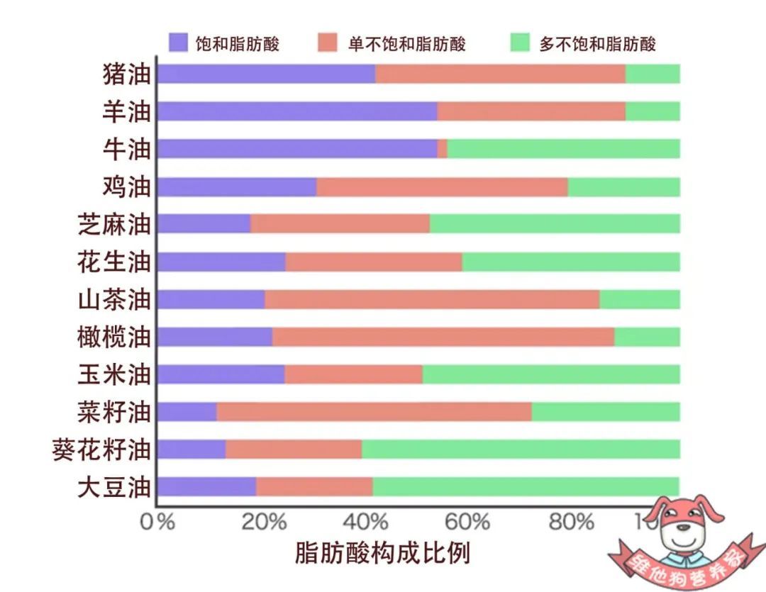 哪种油脂最容易让人发胖苗条的小伙伴连吃油都在减肥