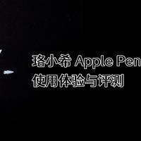 珞小希 Apple Pencil 防滑笔尖使用体验与评测
