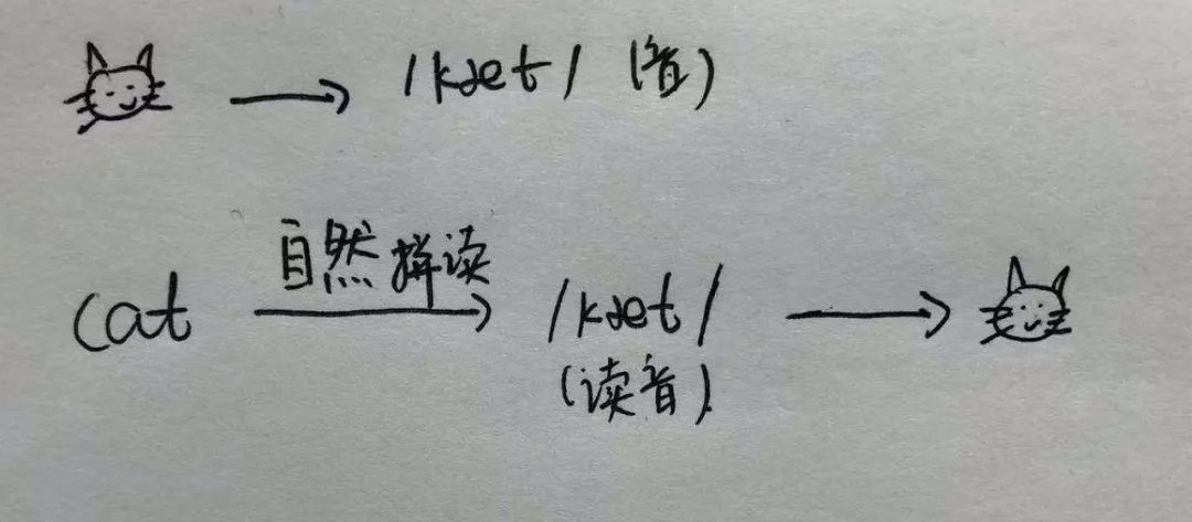 自然拼读到底怎么读
