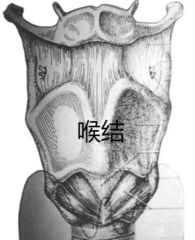 王一博化妆刷下的性感喉结并非男性独有