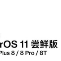 一加8系列开启ColorOS 11尝鲜，首批一加 8/8 Pro/8T