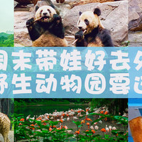 广州氹氹转 篇六：周末带娃好去处！长隆野生动物园要这样玩！