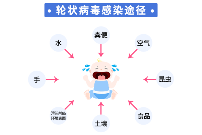 人轮状病毒 什么值得买