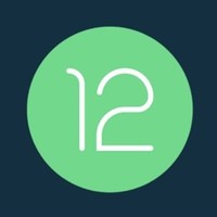 Android 12測試版創紀錄：下載安裝人數刷新安卓歷史