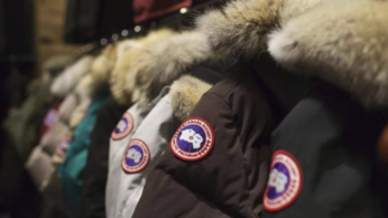 加拿大鹅canadagoose