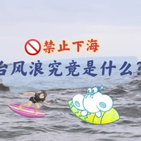 「逐浪」台风来了还想下海冲浪？台风浪到底该不该冲！？