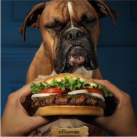 狗也能吃的漢堡？韓國漢堡王推出寵物友好菜單