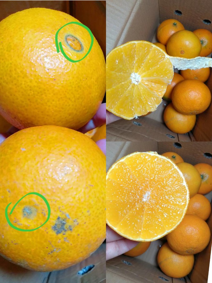 入口即化的爱媛38号果冻橙