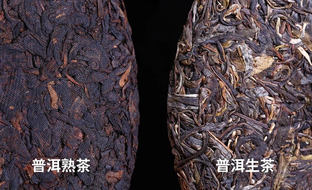 邹炳良从生茶到熟茶为普洱茶产业建立了标准化的标竿许怡先说普洱