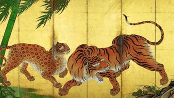 东京看到日本虎，虎年第一个生肖展 | 同城展拍