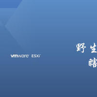 ESXI6.7虚拟机黑群晖7.0.1无损迁移到（伪）物理机