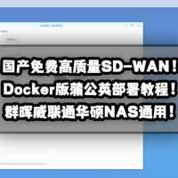 新手向NAS教程 篇二十一：高质量国产免费SD-WAN！Docker版蒲公英群晖威联通华硕NAS部署教程！
