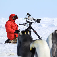 他是BBC“御用”摄影师，20多年的拍摄，目睹濒危动物的消亡