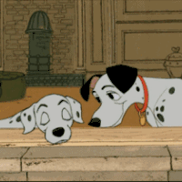 爺青回！紀梵希聯名《101忠狗》，這部動畫是你的童年嗎？