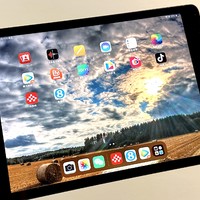 其实，只看爱奇艺的话，iPad 2021就够了