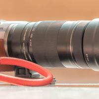 Canon 佳能 EF-S 55-250mm F/4-5.6 IS STM 能拍什么？