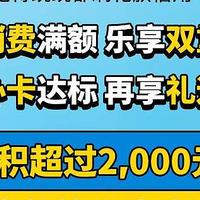 1600元！双11大额消费可以交给它