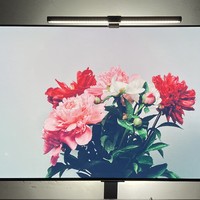 LG 42C2 OLED电视 购入分享与选购指南