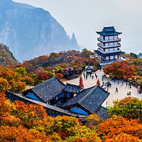 河南又一名酒陨落，辉煌时和茅台酒同台竞技，如今却连本地人都不喝