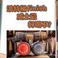 波特桶finish好喝吗？新手该关注哪些方面？