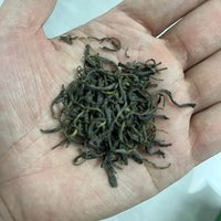 春天当然要和新鲜的绿茶咯