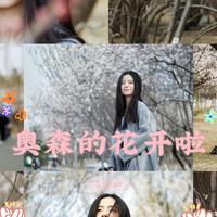 又是一年春花开，拿上相机去寻找2023年的宝藏春色吧！